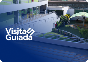 Visita Guiada Innova School